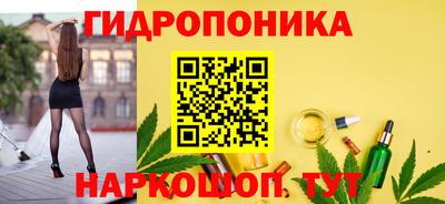 скорость Кохма