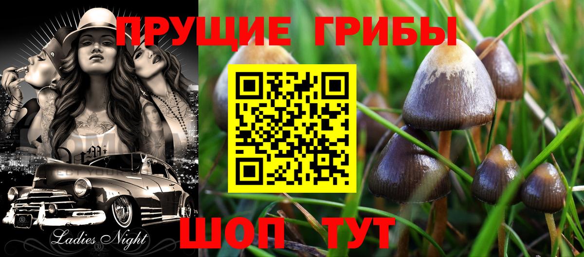 Псилоцибиновые грибы прущие грибы  Псилоцибиновые грибы прущие грибы  Ростов-на-Дону  Вход с VPN 